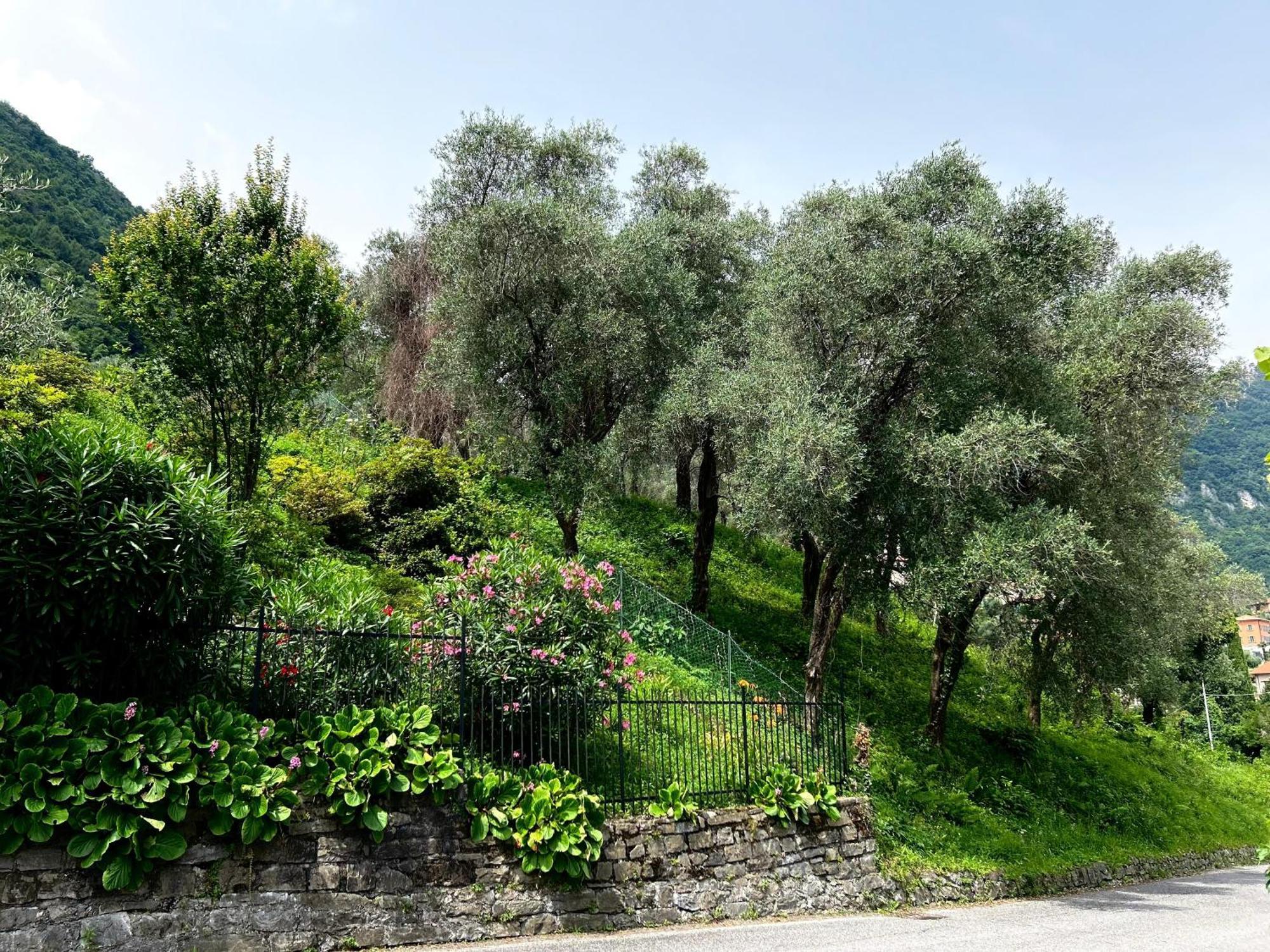 Lakeview Bellagio Apartment Limonta Екстер'єр фото